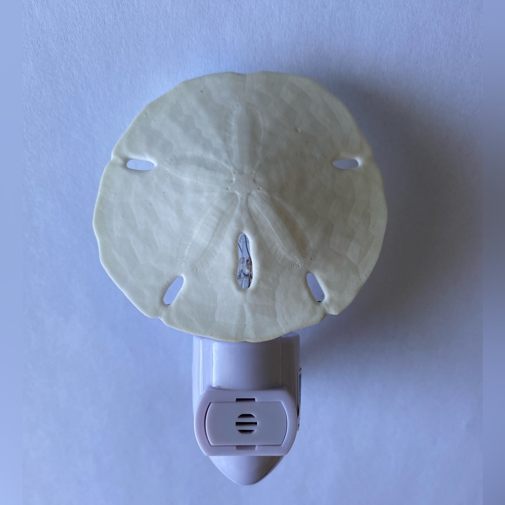 Sand Dollar auto on night light